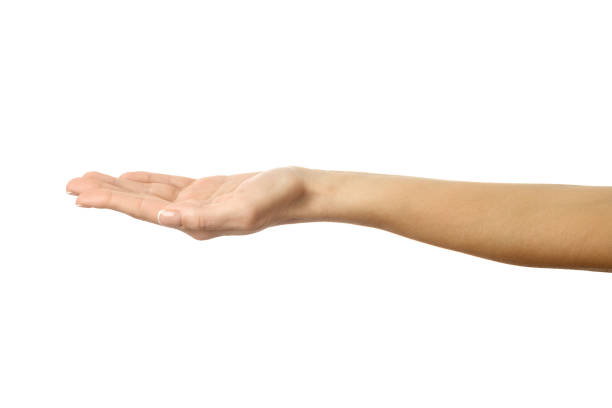 istock Outstretched female hand. Woman hand gesturing isolated on white 1790540708