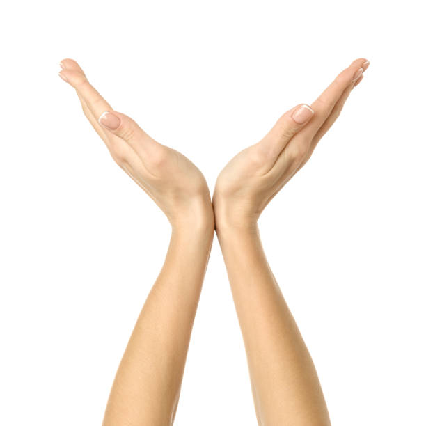 istock Holding or measuring hands. Woman hand gesturing isolated on white 1790541255