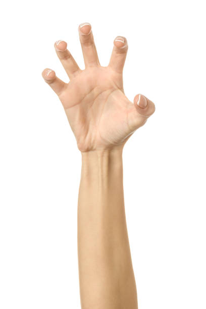 istock Pulling, grabbing, reaching or scratching. Woman hand gesturing isolated on white 1790541277