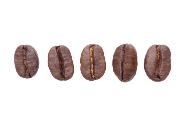 istock Coffee Beans isolated on white background with clipping path. Roasted coffee beans.coffee beans. 1790546502