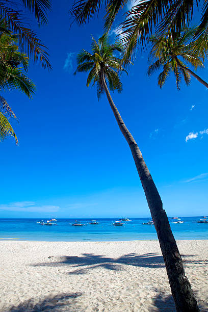 istock Panglao Island, Bohol 179054853