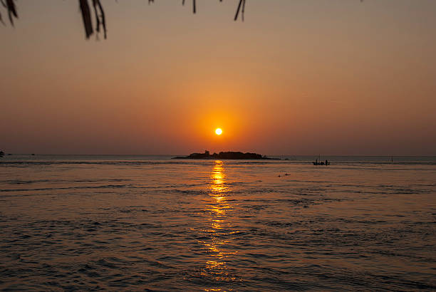 Dolphins at a maldivian Sunset stock photo