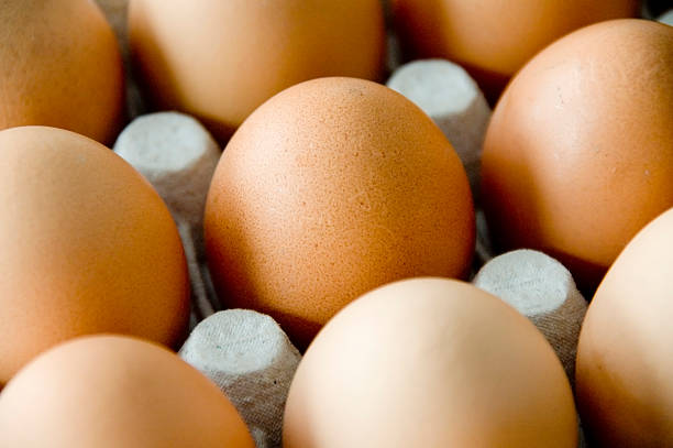 Brown eggs in carton stock photo