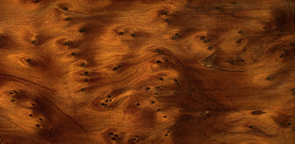 full frame abstract burl wood background