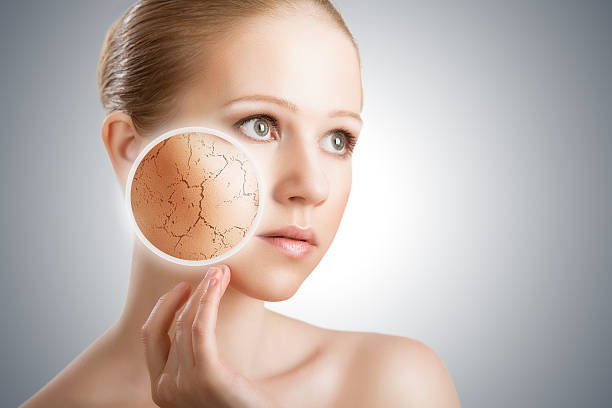 Young woman with area of skin magnified concept of cosmetic effects, treatment and skin care.  face of young woman with dry skin dry stock pictures, royalty-free photos & images