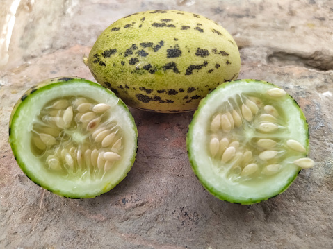 Closeup of Kachri, Wild Musk Melon.