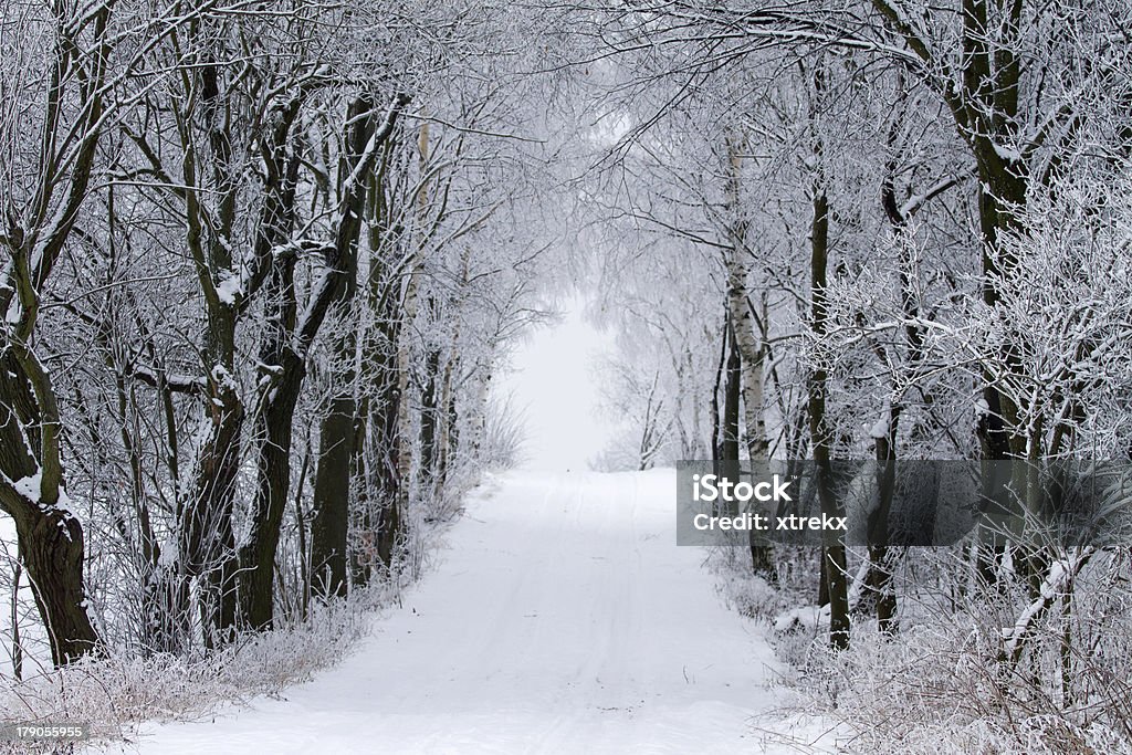 Paysage d'hiver avec la neige et arbres - Photo de Arbre libre de droits