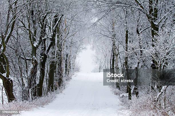 Photo libre de droit de Paysage Dhiver Avec La Neige Et Arbres banque d'images et plus d'images libres de droit de Arbre - Arbre, Blanc, Bois