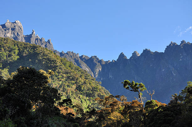 Peak of Mt Kinabalu seen from afar