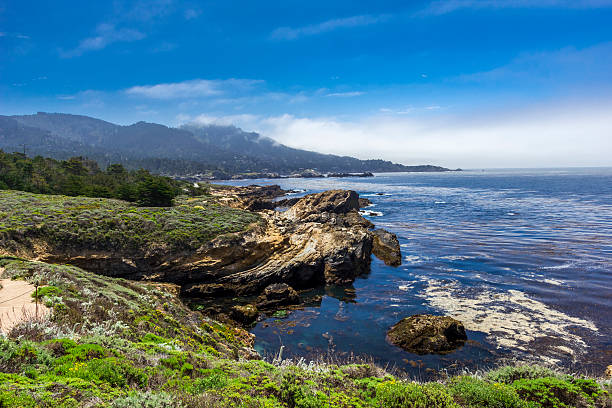 カリフォルニアのビーチ - point lobos state reserve big sur california beach ストックフォトと画像