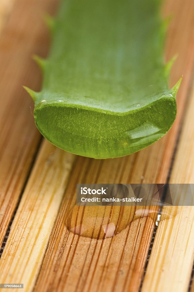 body treatment health-care and body treatment Aloe Stock Photo