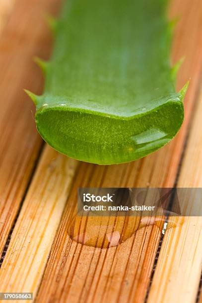 Body Treatment Stock Photo - Download Image Now - Aloe, Green Color, Healthcare Worker