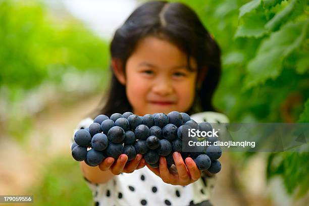 Photo libre de droit de Asiatique Fille Montre Un Tas De Raisin banque d'images et plus d'images libres de droit de Raisin - Raisin, Enfant, Donner