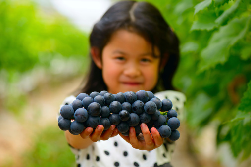 The Asian girl shows a bunch of grapes