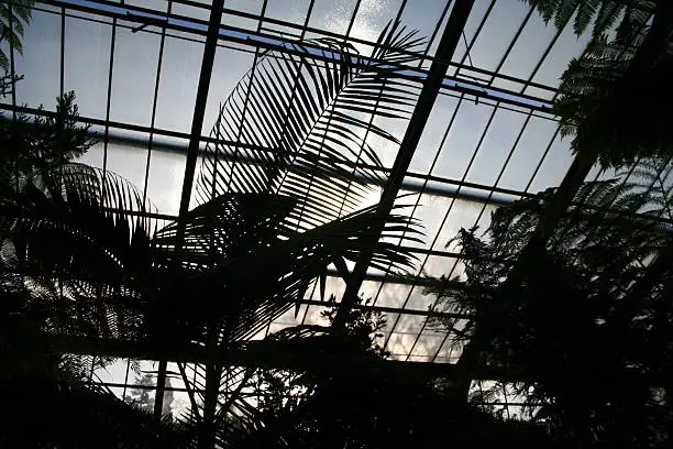 Evening in House of plants