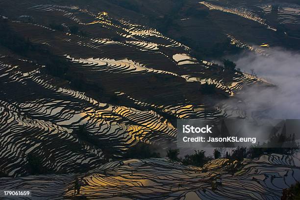 Arroz Campo Terraplenado Foto de stock y más banco de imágenes de Abstracto - Abstracto, Agricultura, Agua