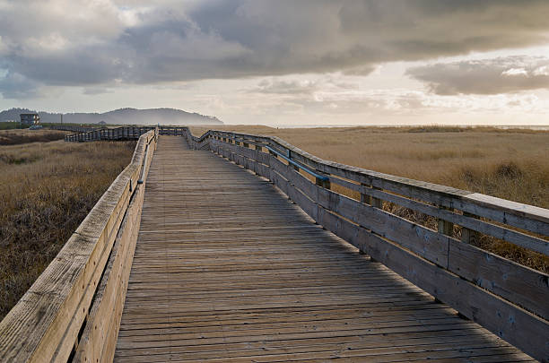 Boardwalk at a beach. stock photo