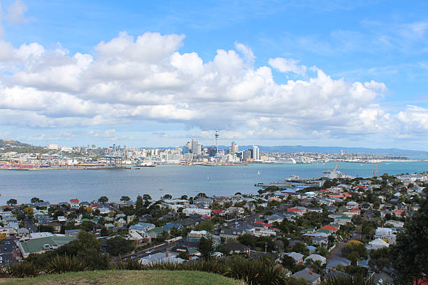istock Auckland from Mt. Eden 179062429