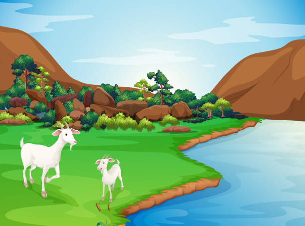 ilustraciones, imágenes clip art, dibujos animados e iconos de stock de dos cabras amigables en la orilla - grass branch wealth forest