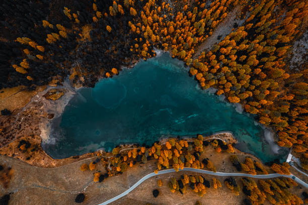 istock Palpougna lake in switzerland 1790624902