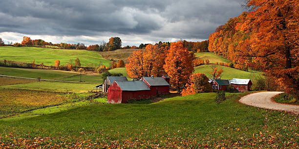 istock Autumn at Jenne Farm in Vermont 179062675