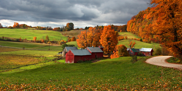 Autumn at Jenne Farm in Vermont