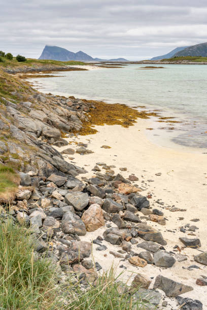 istock By the Sea 1790627470