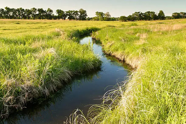 creek winding through green Kansas pasture