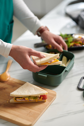 Hands of woman putting sandwiches in plastic box when packing lunch for work