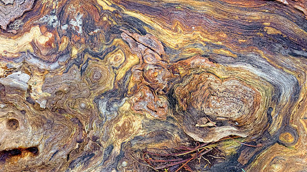 istock very colorful wood grain 179063079