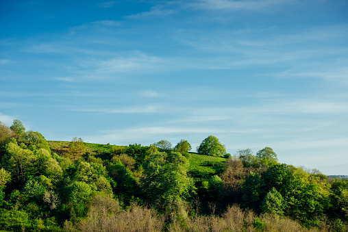 Round green hill with beautiful trees on the background of a blue sky with clouds. Spectacular natural blue green background with copy space.