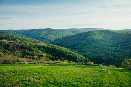 Beautiful hills with trees, green grass and cloudy sky in spring evening. Panoramic background of gentle spring nature in green tones.