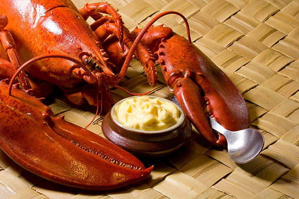 Cтоковое фото lobster