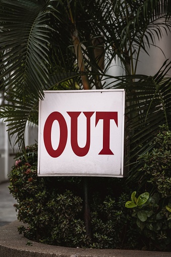 A close-up of a wooden sign that reads 'OUT' situated in front of a white planter filled with vibrant green foliage