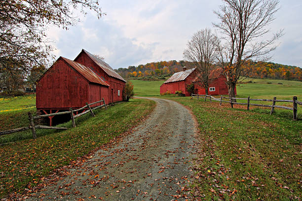 istock Red Barns of Vermont in Autumn 179063904