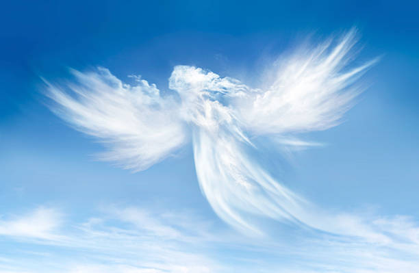 Angel Angel in the clouds on blue sky animal limb photos stock pictures, royalty-free photos & images
