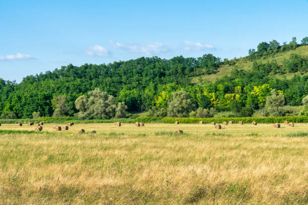 Transylvania, Romania
