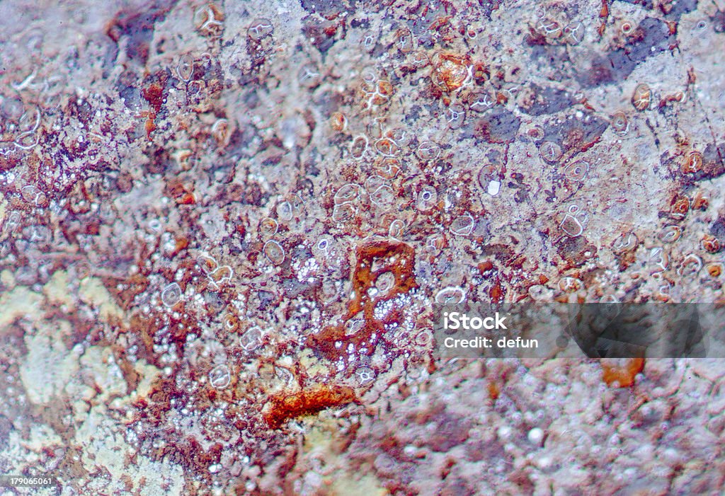 Простой Плоский эпителий - Стоковые фото Endothelial роялти-фри