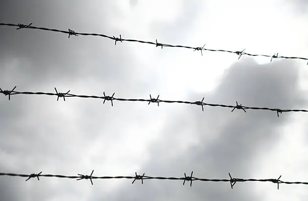 Photo of Barbwire