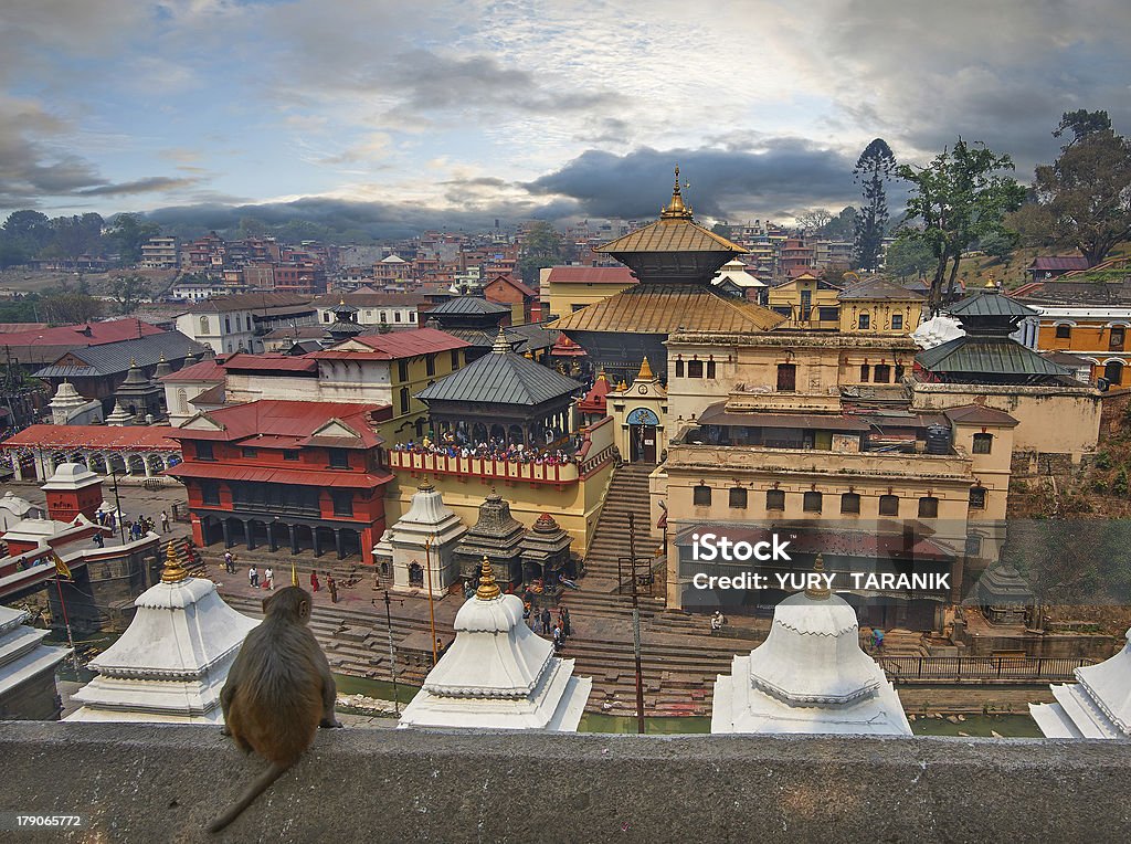 Roof top overview of Pashupatinath city line Pashupatinath Temple is one of the most significant Hindu temples of Lord Shiva in the world, located on the banks of the Bagmati River in the eastern part of Kathmandu, the capital of Nepal. Antique Stock Photo