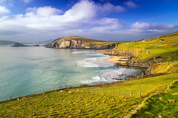 istock Coumeenole beach in Co. Kerry 179066031