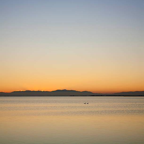istock Lake Ellesmere after Sunset 179066535