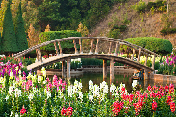 istock Japanese style garden. 179067204