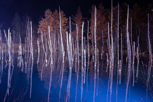 Illuminated winter blue pond