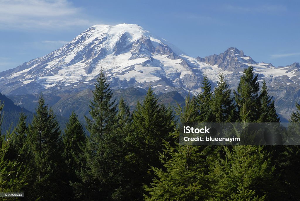 Monte Rainier - Royalty-free Abeto Foto de stock