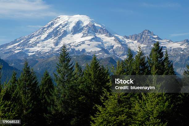 Monte Rainier - Fotografias de stock e mais imagens de Abeto - Abeto, Ao Ar Livre, As Américas