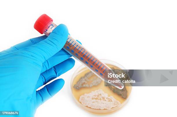 Probówki Z Związek Chemiczny - zdjęcia stockowe i więcej obrazów Agar - Agar, Antybiotyk, Badania