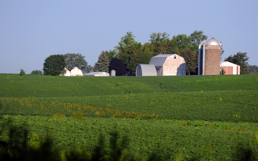 rural soybean farm in the midwest
