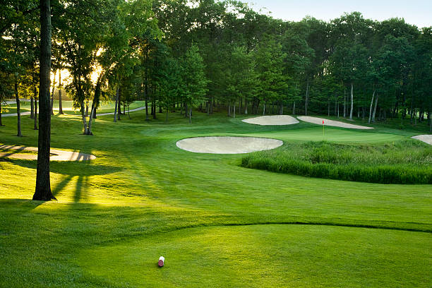 green de golfe e tee com luz solar - tee box imagens e fotografias de stock