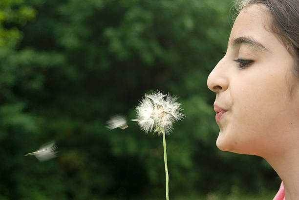 istock Girl blowing on a dandelion 179069562